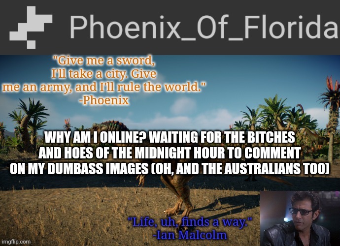 Phoenix Qianzhousaurus Temp | WHY AM I ONLINE? WAITING FOR THE BITCHES AND HOES OF THE MIDNIGHT HOUR TO COMMENT ON MY DUMBASS IMAGES (OH, AND THE AUSTRALIANS TOO) | image tagged in phoenix qianzhousaurus temp | made w/ Imgflip meme maker