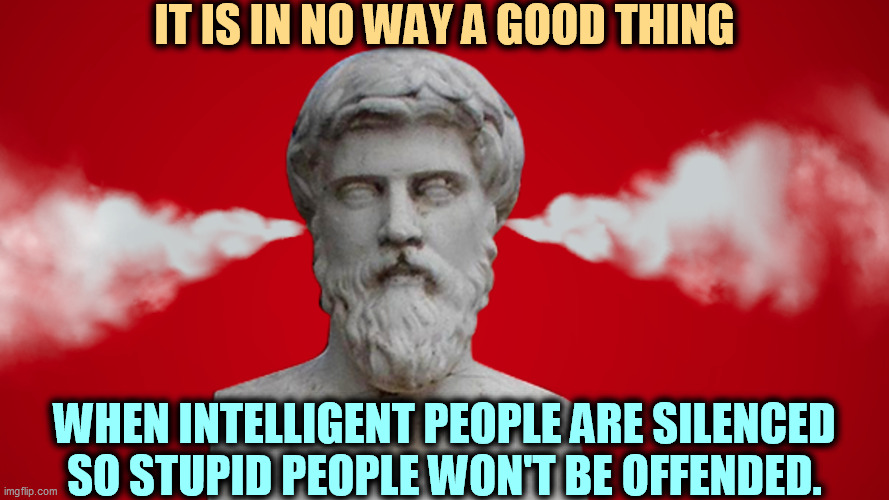 IT IS IN NO WAY A GOOD THING; WHEN INTELLIGENT PEOPLE ARE SILENCED SO STUPID PEOPLE WON'T BE OFFENDED. | image tagged in intelligence,silence,stupid people,angry | made w/ Imgflip meme maker