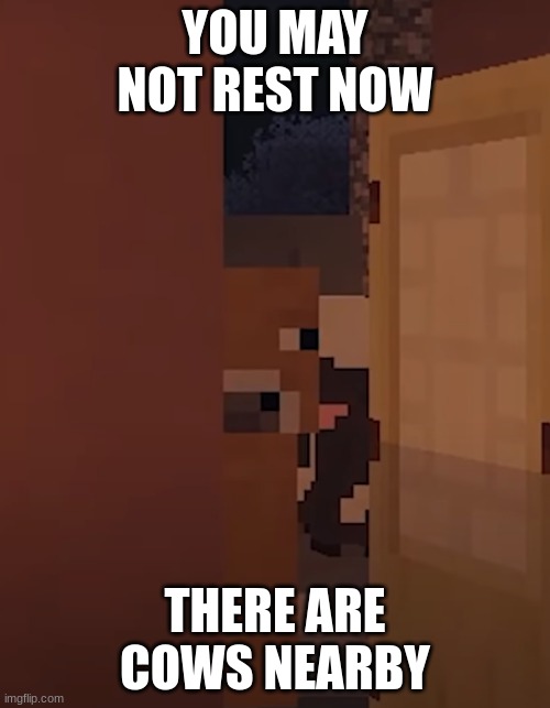 You may not rest now there are cows nearby | YOU MAY NOT REST NOW; THERE ARE COWS NEARBY | image tagged in minecraft,cow,stare,sleep,screenshot | made w/ Imgflip meme maker