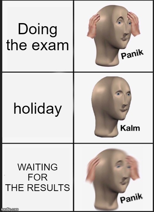 DURING AN EXAM | Doing the exam; holiday; WAITING FOR THE RESULTS | image tagged in memes,panik kalm panik | made w/ Imgflip meme maker