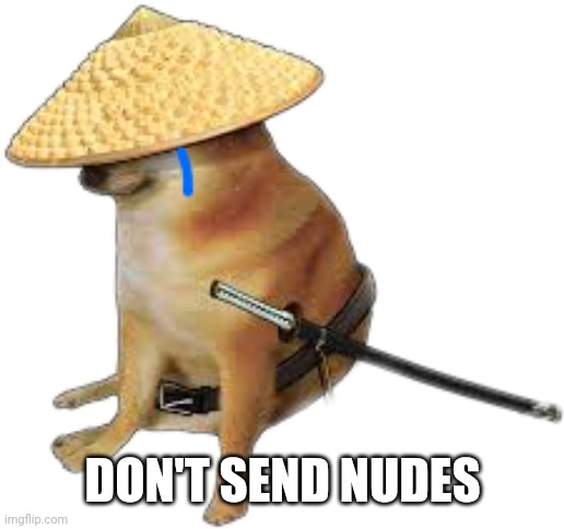 Silence wench | DON'T SEND NUDES | image tagged in silence wench | made w/ Imgflip meme maker