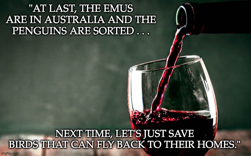Drinking wine | "AT LAST, THE EMUS ARE IN AUSTRALIA AND THE PENGUINS ARE SORTED . . . NEXT TIME, LET'S JUST SAVE BIRDS THAT CAN FLY BACK TO THEIR HOMES." | image tagged in drinking wine | made w/ Imgflip meme maker