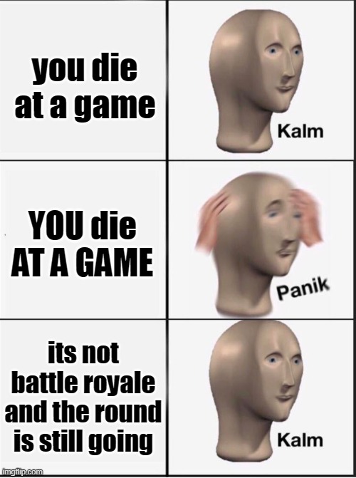 true | you die at a game; YOU die AT A GAME; its not battle royale and the round is still going | image tagged in so true | made w/ Imgflip meme maker