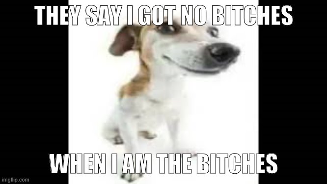 a a folou | THEY SAY I GOT NO BITCHES; WHEN I AM THE BITCHES | image tagged in a a folou | made w/ Imgflip meme maker