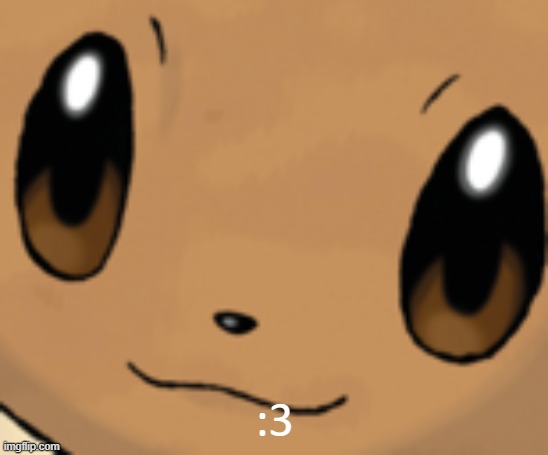 :3 | :3 | image tagged in eevee face | made w/ Imgflip meme maker