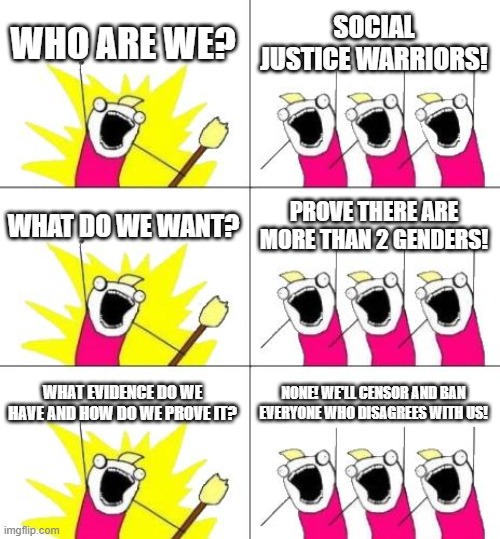 Social Justice Warriors In A Nutshell |  WHO ARE WE? SOCIAL JUSTICE WARRIORS! WHAT DO WE WANT? PROVE THERE ARE MORE THAN 2 GENDERS! WHAT EVIDENCE DO WE HAVE AND HOW DO WE PROVE IT? NONE! WE'LL CENSOR AND BAN EVERYONE WHO DISAGREES WITH US! | image tagged in what do we want 3,sjw,social justice warrior,social justice warriors,2 genders,who are we | made w/ Imgflip meme maker