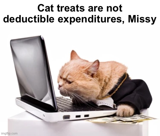 Cat treats are not deductible expenditures, Missy | made w/ Imgflip meme maker