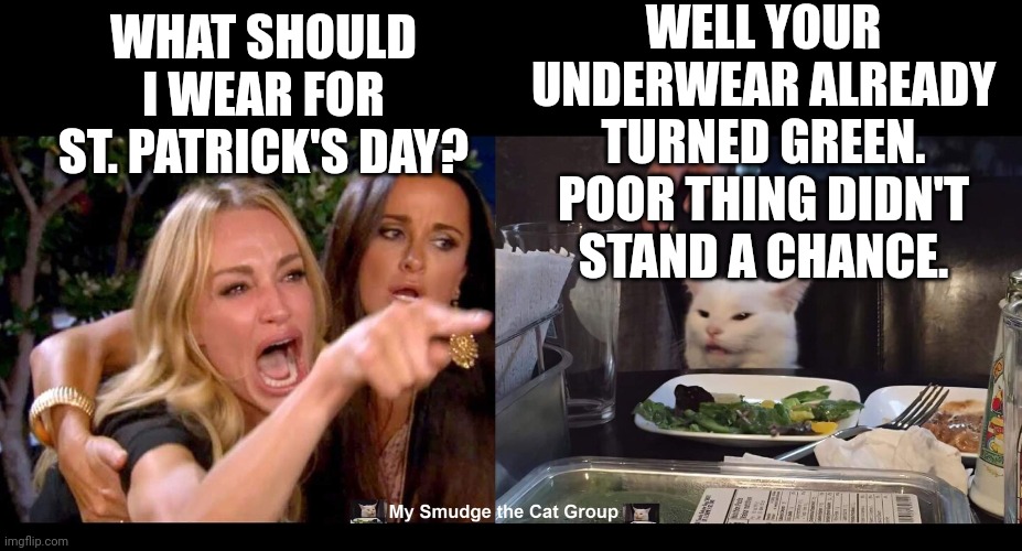 WELL YOUR UNDERWEAR ALREADY TURNED GREEN. POOR THING DIDN'T STAND A CHANCE. WHAT SHOULD I WEAR FOR ST. PATRICK'S DAY? | image tagged in smudge the cat,smudge | made w/ Imgflip meme maker