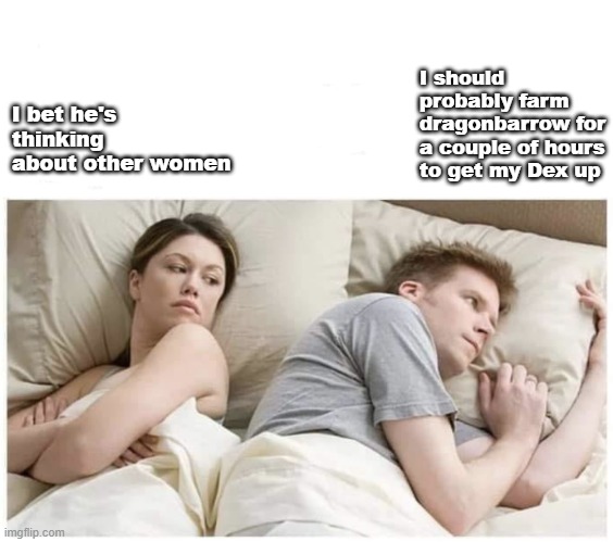 The Scaling isn't going well.... | I should probably farm dragonbarrow for a couple of hours to get my Dex up; I bet he's thinking about other women | image tagged in he's probably thinking in other | made w/ Imgflip meme maker