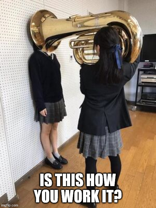 trumpet | IS THIS HOW YOU WORK IT? | image tagged in trumpet | made w/ Imgflip meme maker