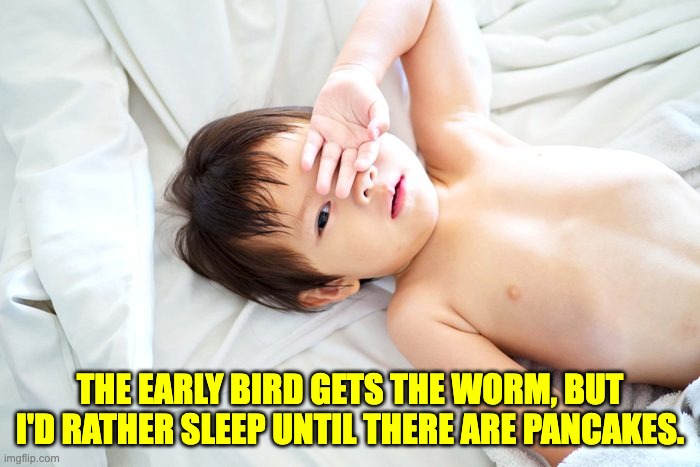 Early | THE EARLY BIRD GETS THE WORM, BUT I'D RATHER SLEEP UNTIL THERE ARE PANCAKES. | image tagged in dad joke | made w/ Imgflip meme maker