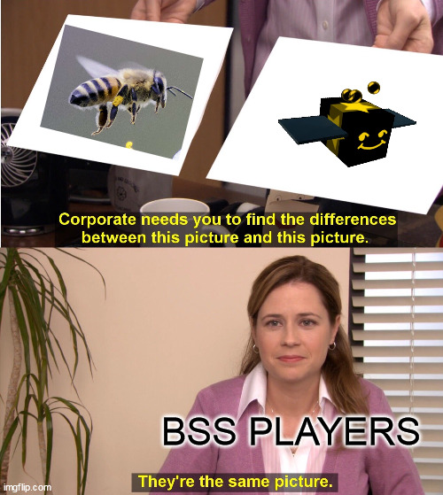 They're The Same Picture | BSS PLAYERS | image tagged in memes,they're the same picture | made w/ Imgflip meme maker