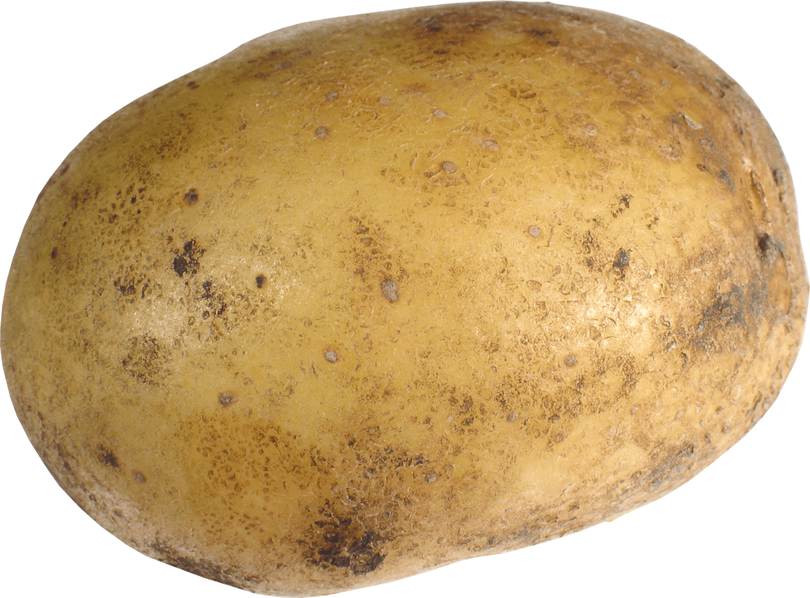 High Quality potato Blank Meme Template