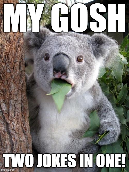 Surprised Koala Meme | MY GOSH TWO JOKES IN ONE! | image tagged in memes,surprised koala | made w/ Imgflip meme maker