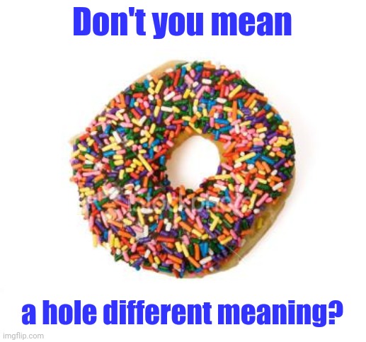 donut | Don't you mean a hole different meaning? | image tagged in donut | made w/ Imgflip meme maker