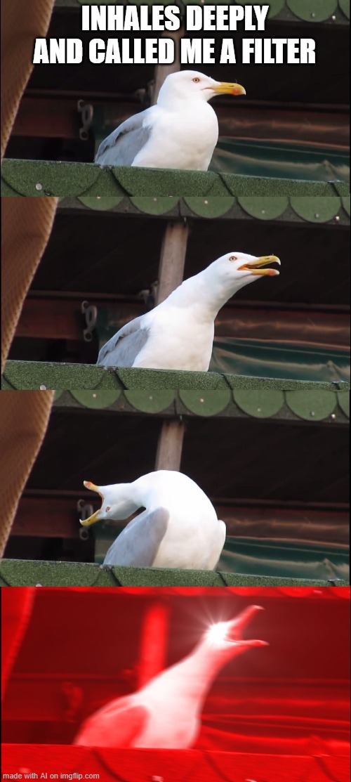 Inhaling Seagull Meme | INHALES DEEPLY AND CALLED ME A FILTER | image tagged in memes,inhaling seagull | made w/ Imgflip meme maker