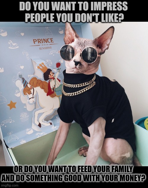 This lolcat wonders why some rather spend money on people they don't like | DO YOU WANT TO IMPRESS 
PEOPLE YOU DON'T LIKE? OR DO YOU WANT TO FEED YOUR FAMILY
AND DO SOMETHING GOOD WITH YOUR MONEY? | image tagged in think about it,clothing,luxury,money | made w/ Imgflip meme maker