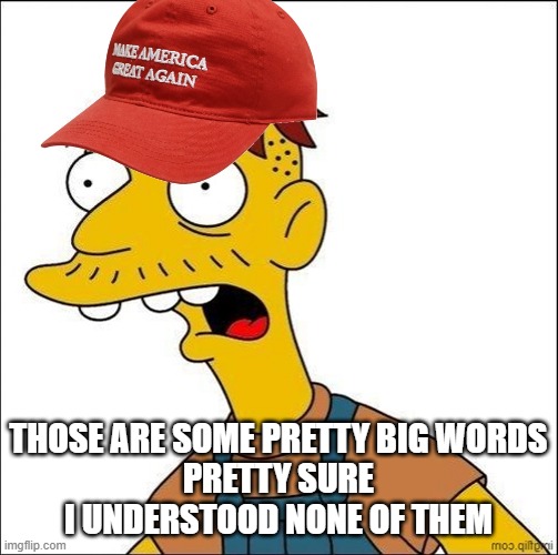 Some Kind Of MAGA Moron | THOSE ARE SOME PRETTY BIG WORDS
PRETTY SURE I UNDERSTOOD NONE OF THEM | image tagged in some kind of maga moron | made w/ Imgflip meme maker