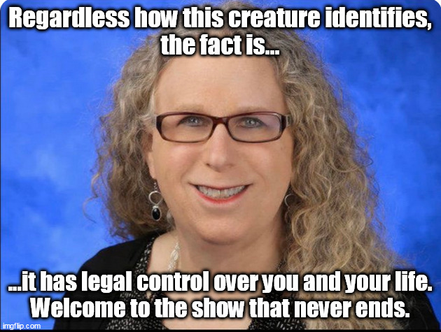 The Reign of Darkness on Planet Earth is like an AmusementPark filled with thrills&spills, the show that never ends. | Regardless how this creature identifies,
the fact is... ...it has legal control over you and your life.
Welcome to the show that never ends. | image tagged in memes,politics | made w/ Imgflip meme maker