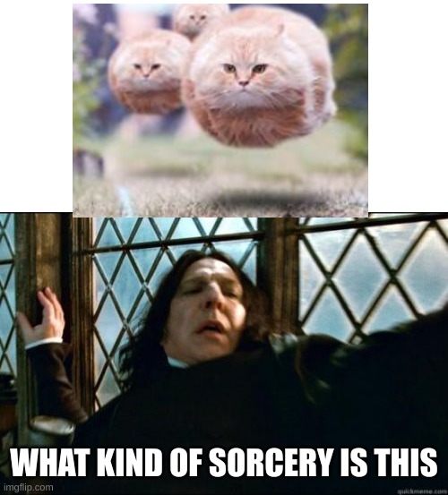 God even Dumbledore would be scared | WHAT KIND OF SORCERY IS THIS | image tagged in memes,snape | made w/ Imgflip meme maker