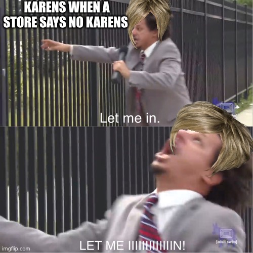Karens | KARENS WHEN A STORE SAYS NO KARENS | image tagged in let me in | made w/ Imgflip meme maker
