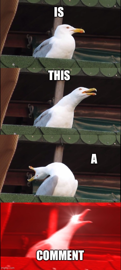 Comment | IS; THIS; A; COMMENT | image tagged in memes,inhaling seagull | made w/ Imgflip meme maker