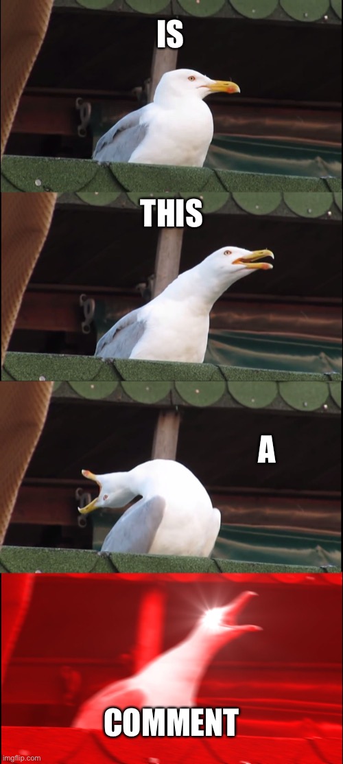 Inhaling Seagull Meme | IS THIS A COMMENT | image tagged in memes,inhaling seagull | made w/ Imgflip meme maker