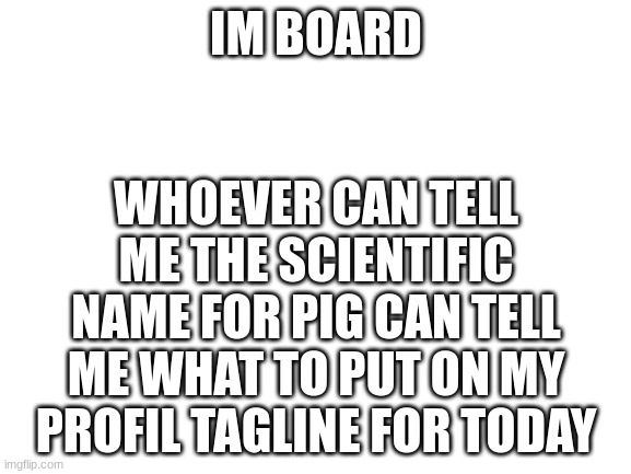 the scientific name for pig is... | IM BOARD; WHOEVER CAN TELL ME THE SCIENTIFIC NAME FOR PIG CAN TELL ME WHAT TO PUT ON MY PROFIL TAGLINE FOR TODAY | image tagged in blank white template | made w/ Imgflip meme maker