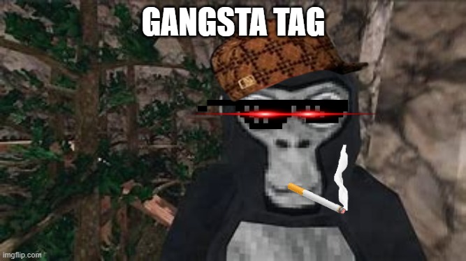 GORILLA TAG GONE WRONG | GANGSTA TAG | image tagged in funny | made w/ Imgflip meme maker