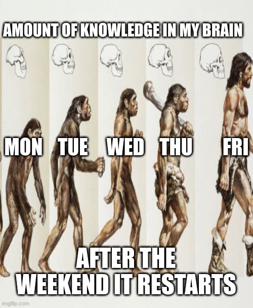 brain evolution at school | AMOUNT OF KNOWLEDGE IN MY BRAIN; MON    TUE     WED    THU        FRI; AFTER THE WEEKEND IT RESTARTS | image tagged in school meme | made w/ Imgflip meme maker