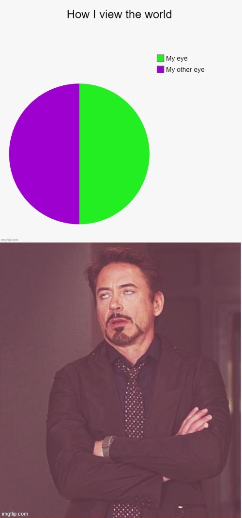 Face You Make Robert Downey Jr Meme Generator - Imgflip