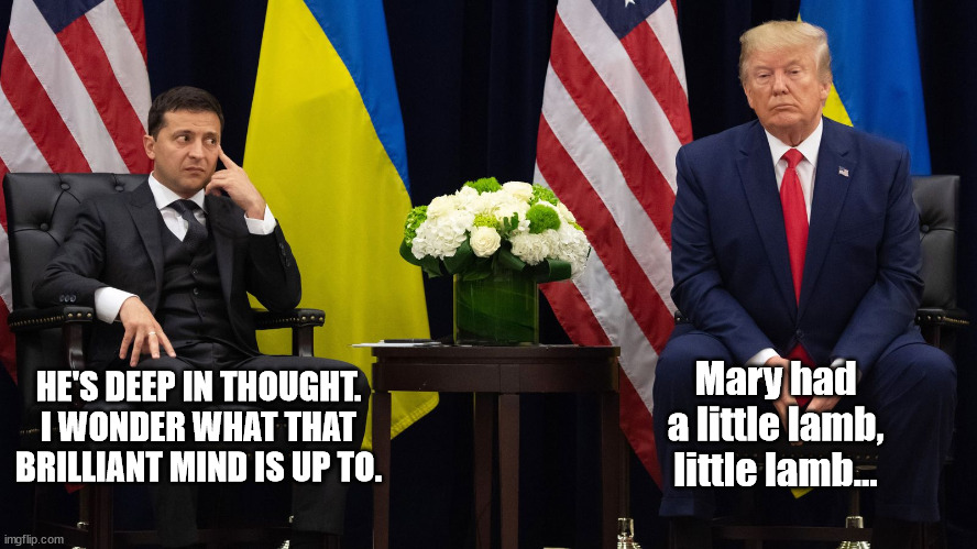 Little donnie trump, deep in thought. | Mary had a little lamb, little lamb... HE'S DEEP IN THOUGHT. I WONDER WHAT THAT BRILLIANT MIND IS UP TO. | image tagged in big brained donnie trump | made w/ Imgflip meme maker