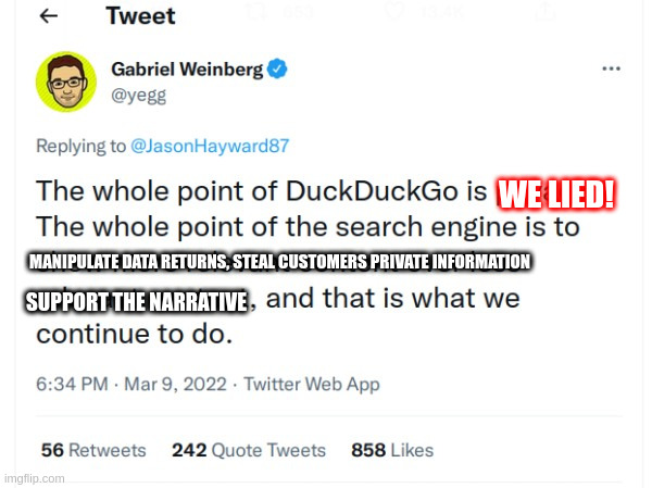 Duck Duck Lie! | WE LIED! MANIPULATE DATA RETURNS, STEAL CUSTOMERS PRIVATE INFORMATION; SUPPORT THE NARRATIVE | image tagged in duckduckgo,gabriel,twitter,ukraine,data | made w/ Imgflip meme maker