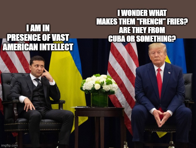 Zelensky realizes his wallet's gone. Trump plays innocent. | I AM IN PRESENCE OF VAST AMERICAN INTELLECT I WONDER WHAT MAKES THEM "FRENCH" FRIES?
ARE THEY FROM
CUBA OR SOMETHING? | image tagged in zelensky realizes his wallet's gone trump plays innocent | made w/ Imgflip meme maker