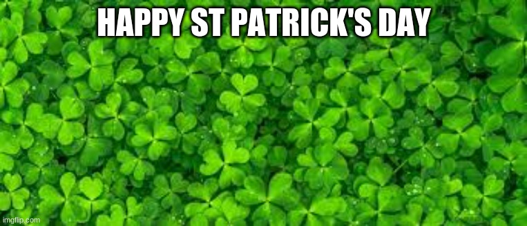 st patrick's day | HAPPY ST PATRICK'S DAY | image tagged in st patrick's day | made w/ Imgflip meme maker