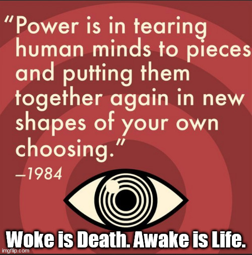 Woke is Death. Awake is Life. | Woke is Death. Awake is Life. | image tagged in memes,awake | made w/ Imgflip meme maker