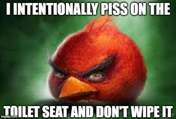 angry birbs | image tagged in angry birds,memes,funny,angry bird | made w/ Imgflip meme maker