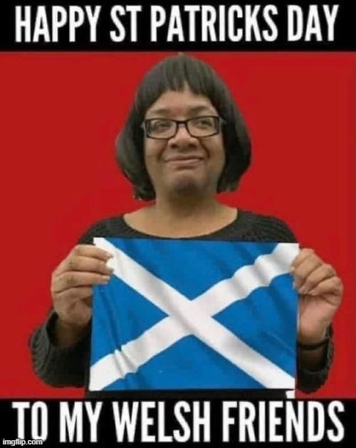 British Labour Party's Diane Abbott | made w/ Imgflip meme maker