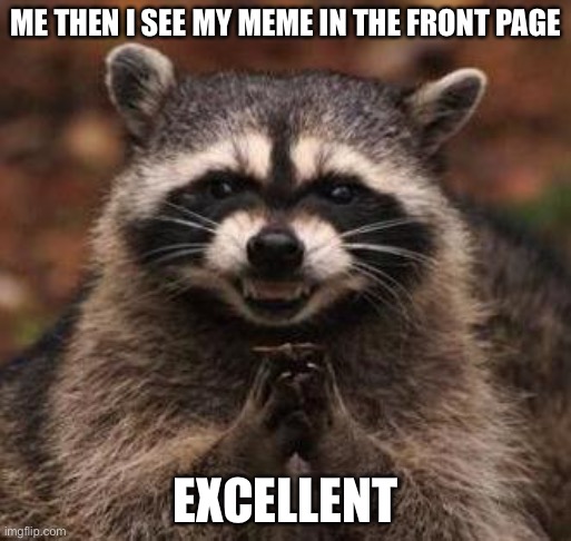 Excellent | ME THEN I SEE MY MEME IN THE FRONT PAGE; EXCELLENT | image tagged in excellent,evil plotting raccoon | made w/ Imgflip meme maker