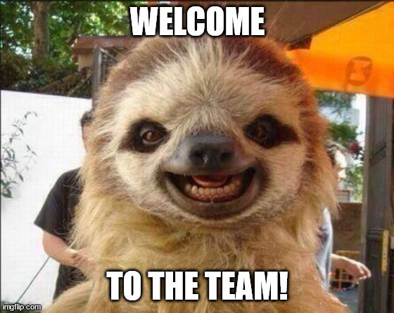 Welcome to the team! |  WELCOME; TO THE TEAM! | image tagged in smile sloth,welcome,team | made w/ Imgflip meme maker