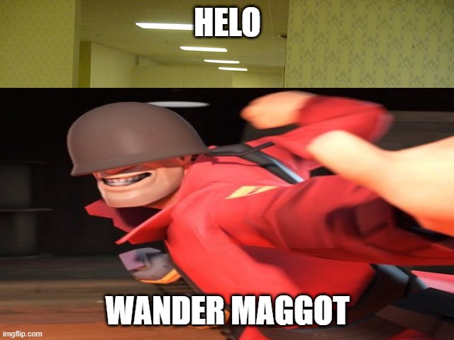 Maggot | HELO; WANDER MAGGOT | image tagged in meme | made w/ Imgflip meme maker