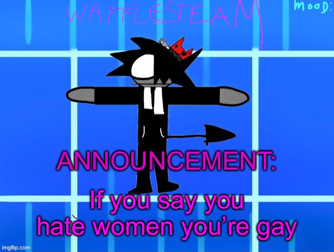 For the males in the stream: | If you say you hate women you’re gay | image tagged in wafflesteam s temp or whatever | made w/ Imgflip meme maker