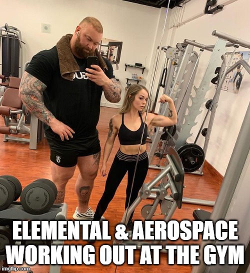 ELEMENTAL & AEROSPACE WORKING OUT AT THE GYM | image tagged in battletech,mechwarrior | made w/ Imgflip meme maker