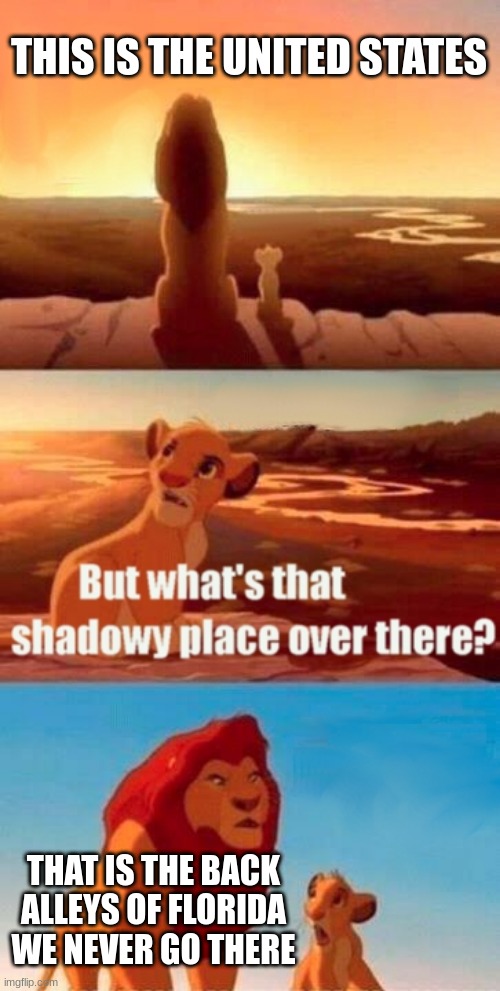 Florida |  THIS IS THE UNITED STATES; THAT IS THE BACK ALLEYS OF FLORIDA WE NEVER GO THERE | image tagged in memes,simba shadowy place | made w/ Imgflip meme maker