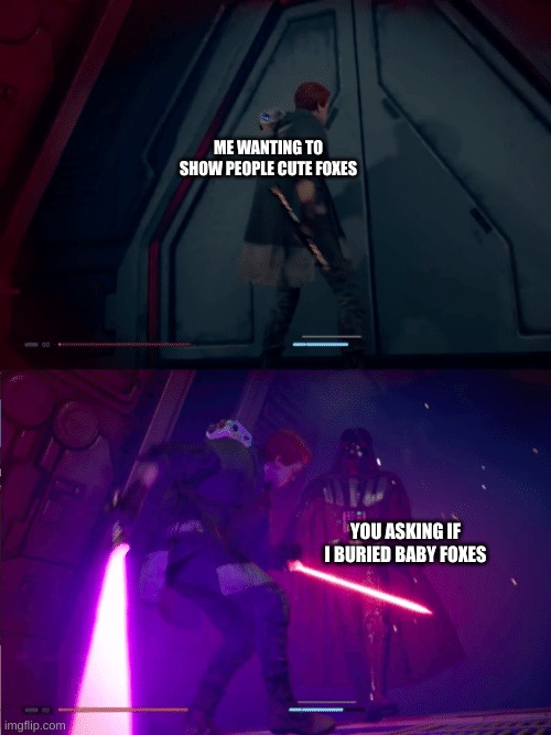 Jedi Fallen Order Cal vs Vader | ME WANTING TO SHOW PEOPLE CUTE FOXES YOU ASKING IF I BURIED BABY FOXES | image tagged in jedi fallen order cal vs vader | made w/ Imgflip meme maker