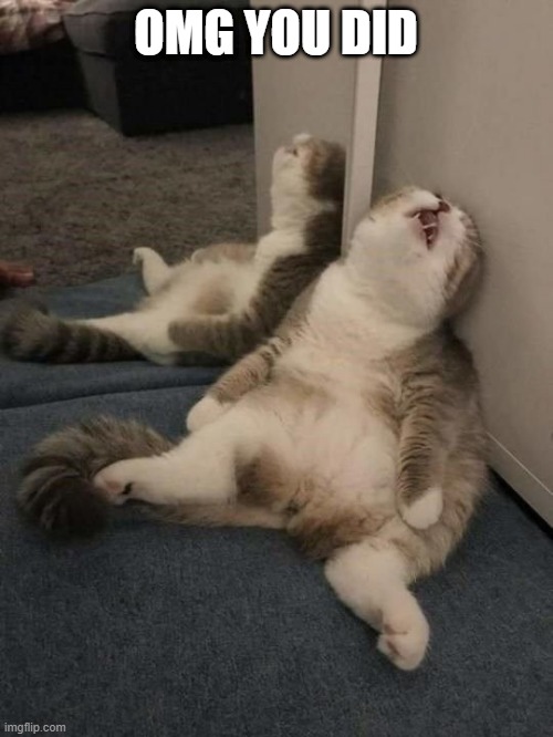 tired cat | OMG YOU DID | image tagged in tired cat | made w/ Imgflip meme maker