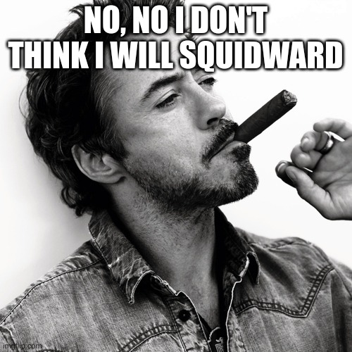 Robert Downy Jr | NO, NO I DON'T THINK I WILL SQUIDWARD | image tagged in robert downy jr | made w/ Imgflip meme maker