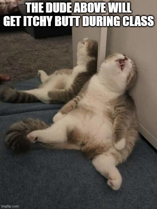 tired cat | THE DUDE ABOVE WILL GET ITCHY BUTT DURING CLASS | image tagged in tired cat | made w/ Imgflip meme maker