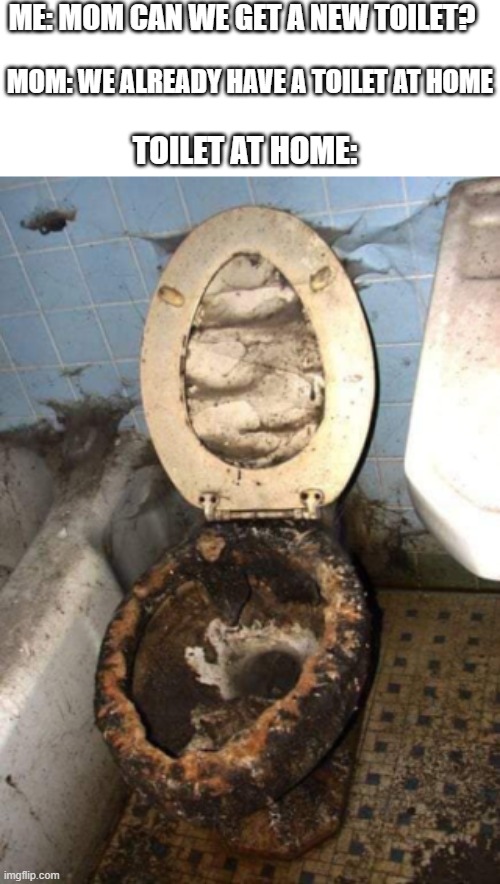 ME: MOM CAN WE GET A NEW TOILET? MOM: WE ALREADY HAVE A TOILET AT HOME; TOILET AT HOME: | made w/ Imgflip meme maker