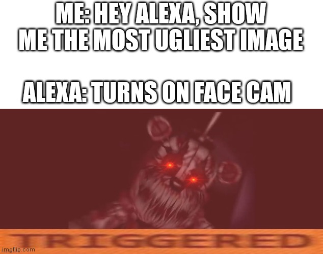 Nightmare CTW funtime freddy triggered | ME: HEY ALEXA, SHOW ME THE MOST UGLIEST IMAGE; ALEXA: TURNS ON FACE CAM | image tagged in nightmare ctw funtime freddy triggered,alexa,fnaf,triggered,memes | made w/ Imgflip meme maker